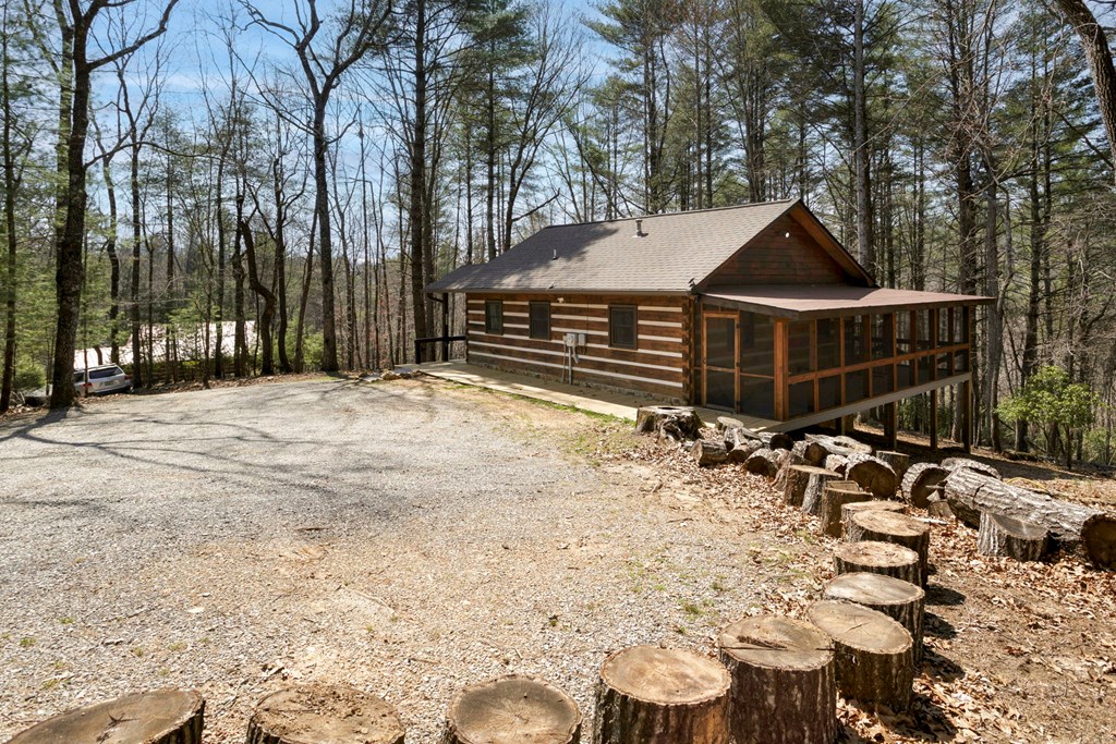 77 Dogwood Path Trail, BLUE RIDGE, Georgia image 4