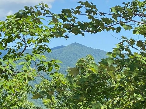 Vacant Land For Sale - 1621 Granny Squirrel Drive<br/> Cherokee County, ANDREWS, NC 28901