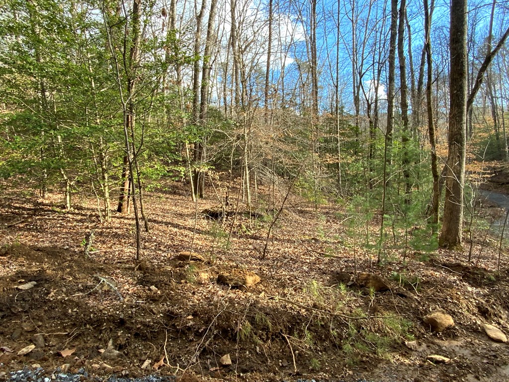 Lot 6 Ivy Log Rd - Photo 4
