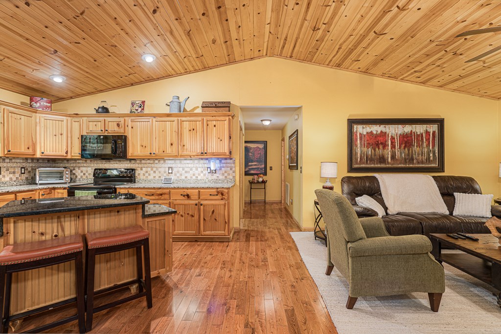 1498 Hollybrook Drive, MURPHY, North Carolina image 3