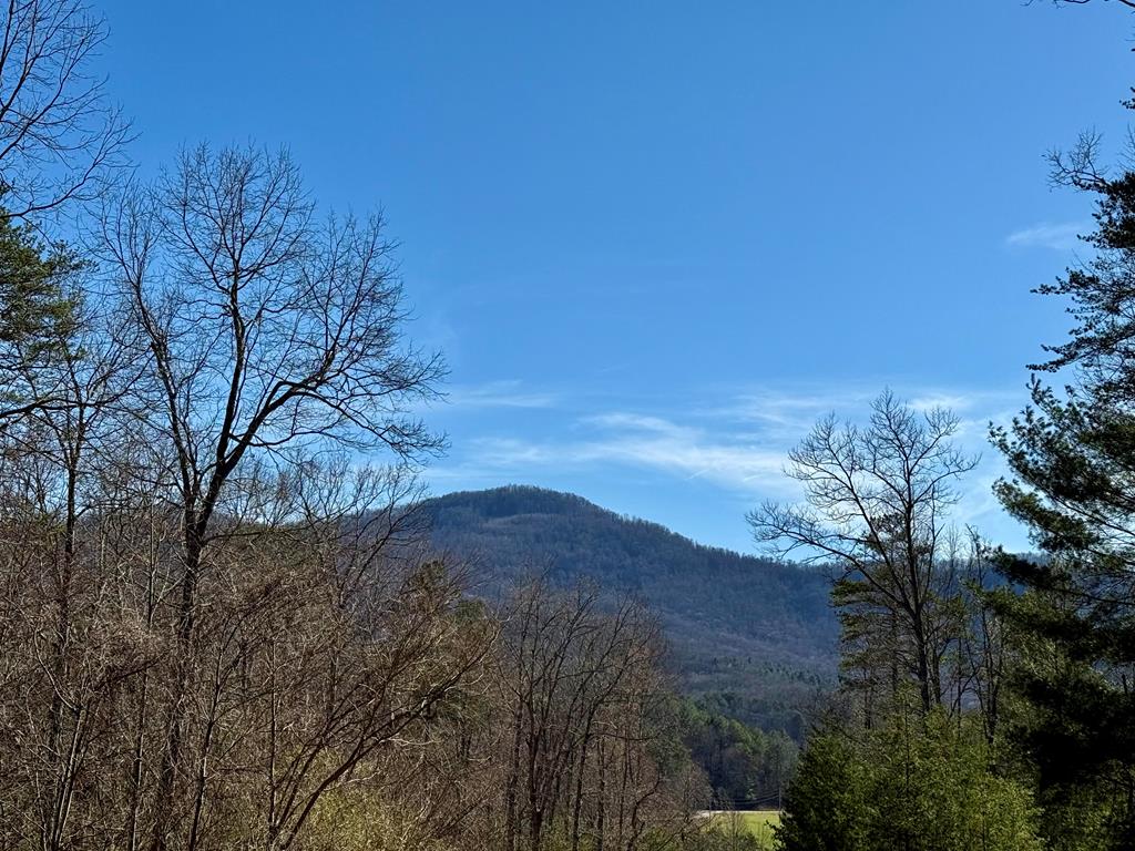 Chimney Top Trail #20, MURPHY, North Carolina image 1