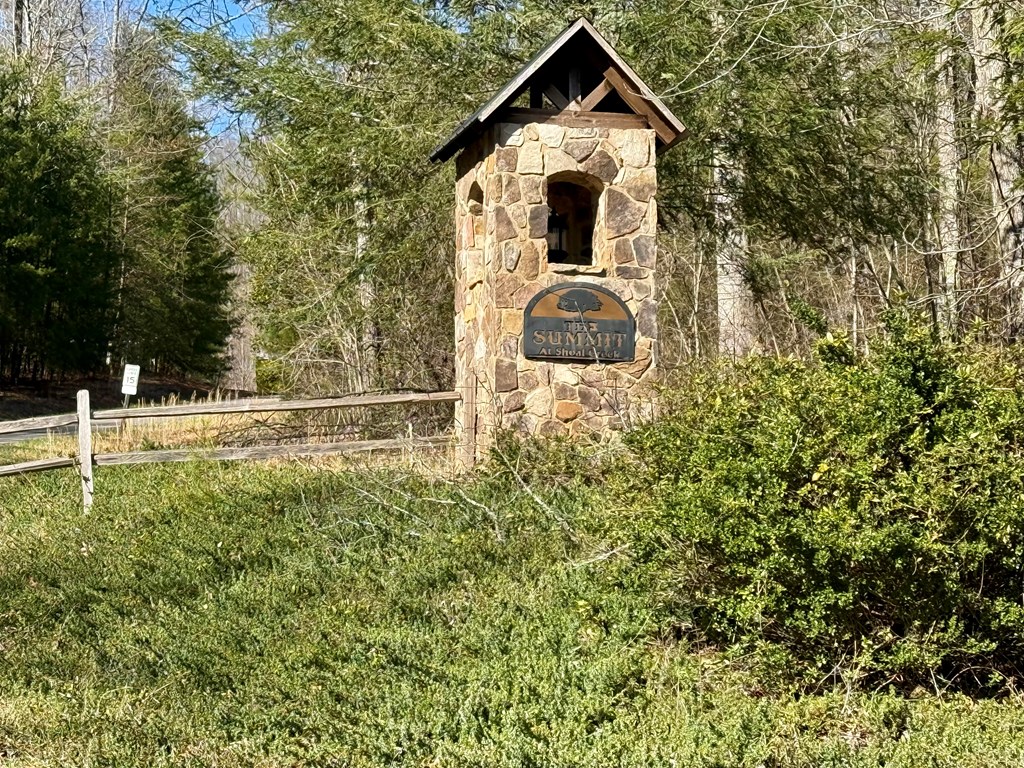 Chimney Top Trail #20, MURPHY, North Carolina image 6