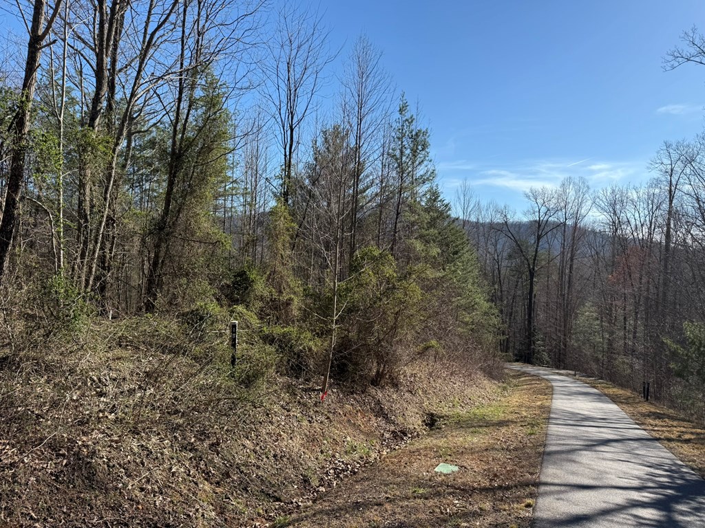 Chimney Top Trail #20, MURPHY, North Carolina image 2