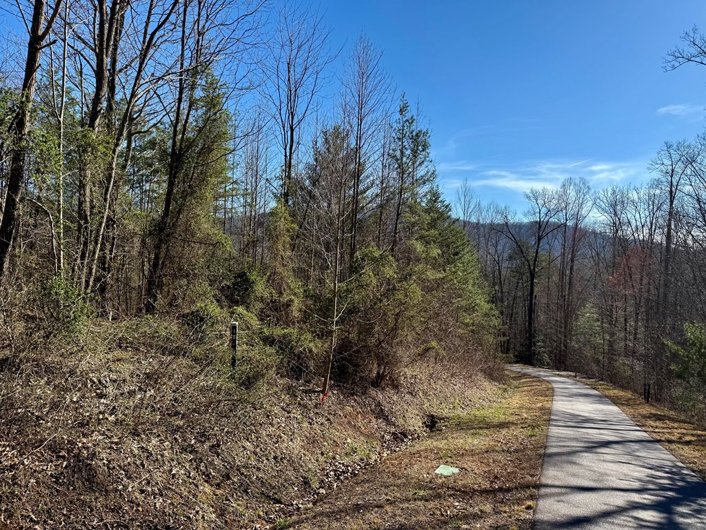 Chimney Top Trail #20, MURPHY, North Carolina image 5