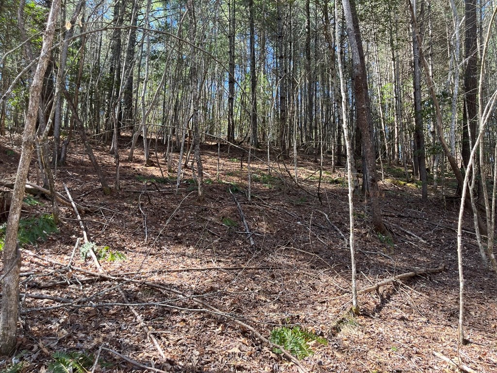 463 Hiwassee Dam Access Road, MURPHY, North Carolina image 30