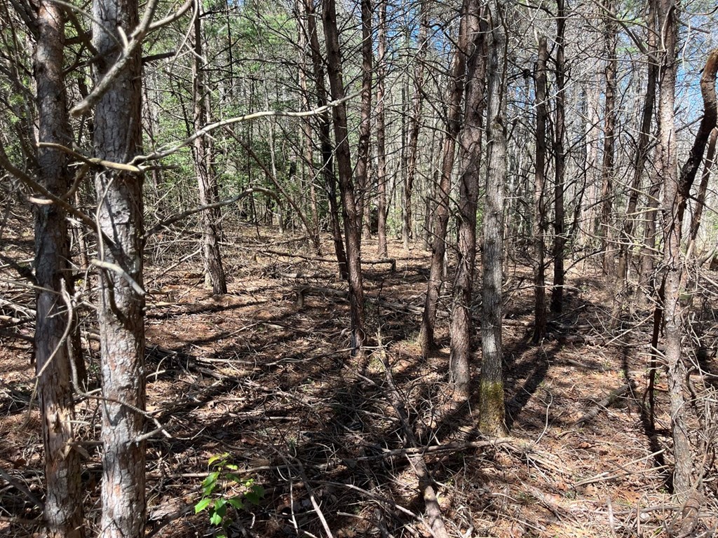 463 Hiwassee Dam Access Road, MURPHY, North Carolina image 5