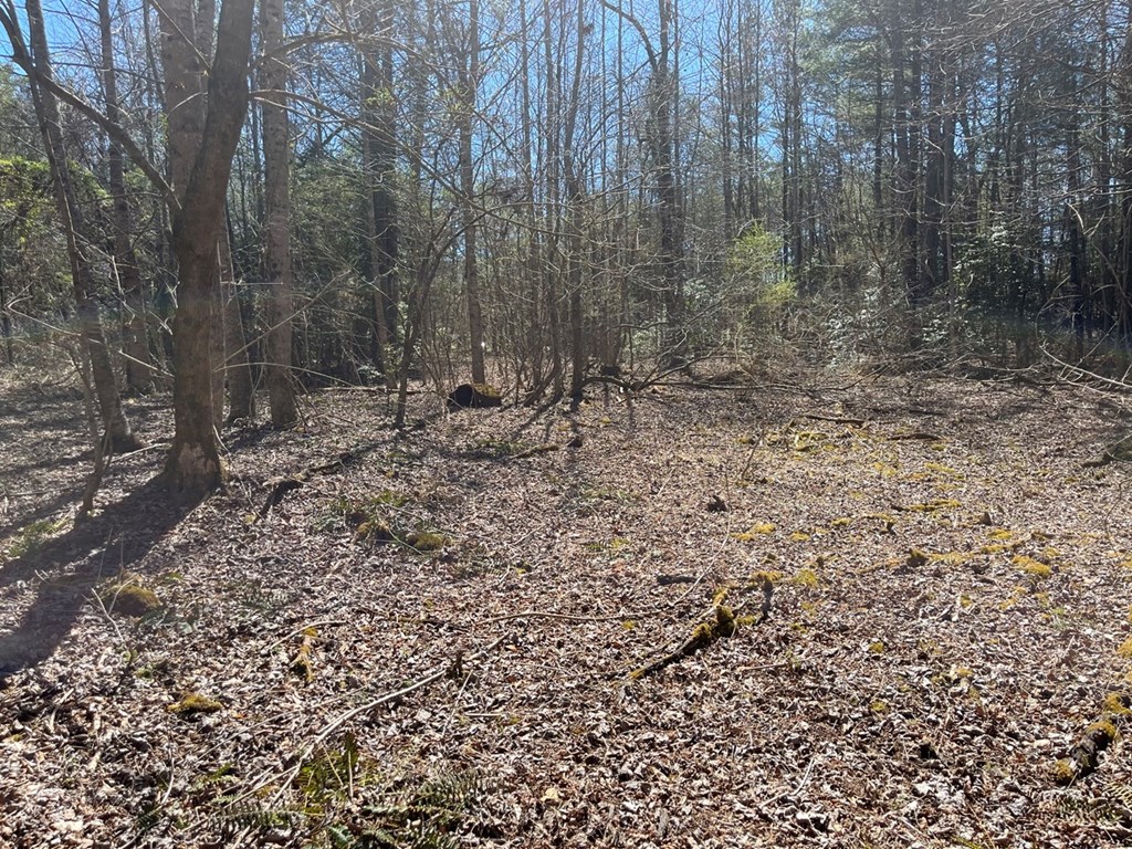 463 Hiwassee Dam Access Road, MURPHY, North Carolina image 11