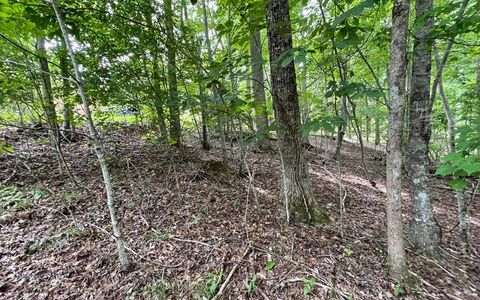 Vacant Land For Sale - LOT 3 Morgan Creek #3<br/> YOUNG HARRIS, GA 30582