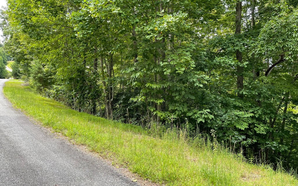 Lot 3 Morgan Creek #3, YOUNG HARRIS, Georgia image 3