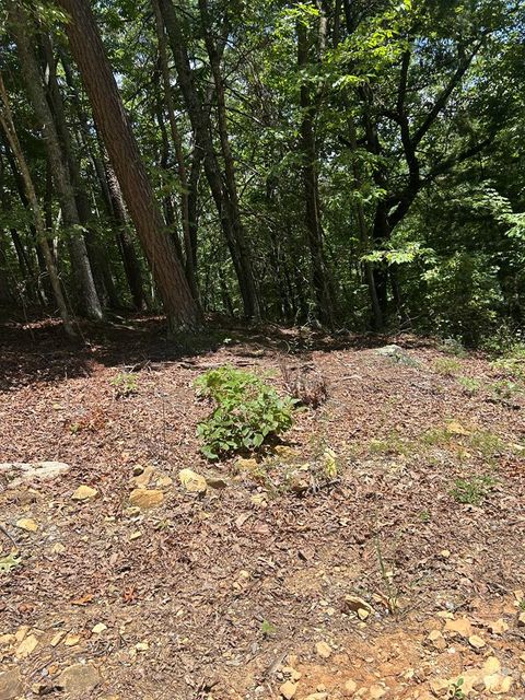 Vacant Land For Sale - Skyview Acres Drive #10<br/> MURPHY, NC 28906