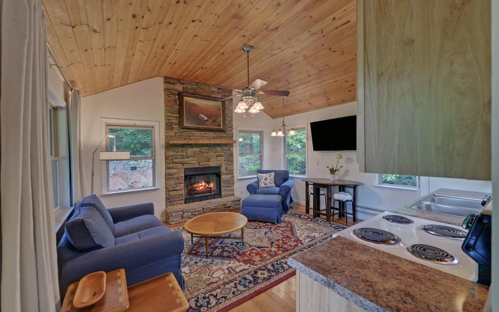 643 Zekes Trail, MARBLE, North Carolina image 10