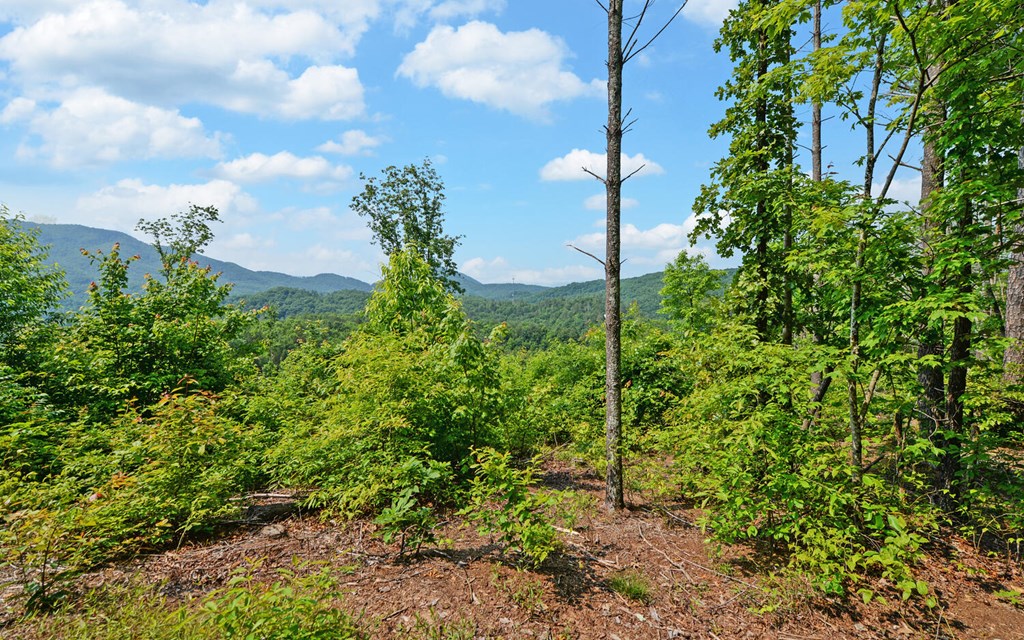 643 Zekes Trail, MARBLE, North Carolina image 27