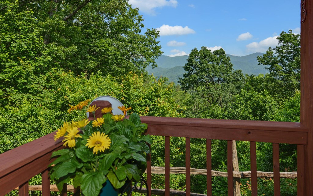 643 Zekes Trail, MARBLE, North Carolina image 26