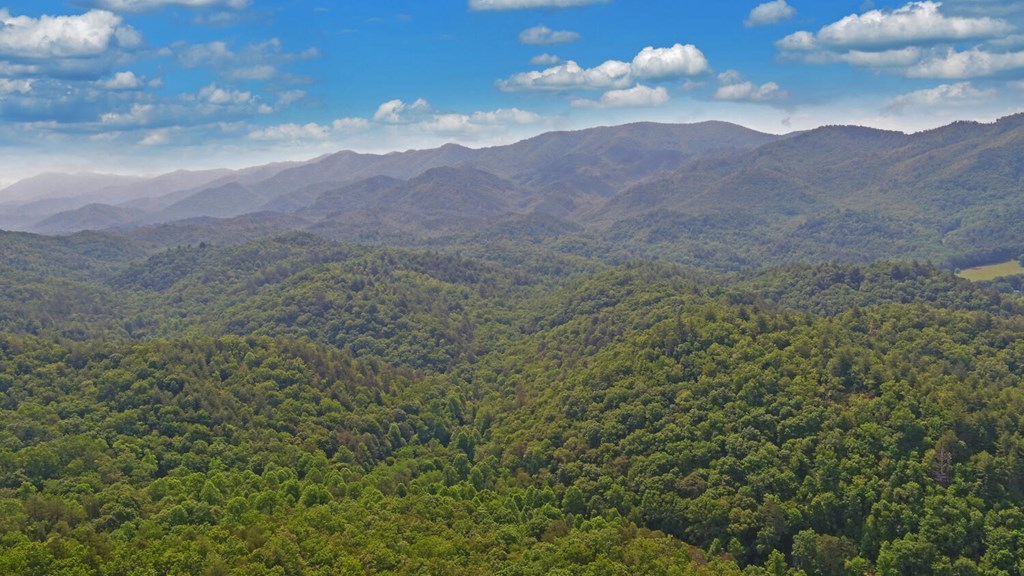 643 Zekes Trail, MARBLE, North Carolina image 38