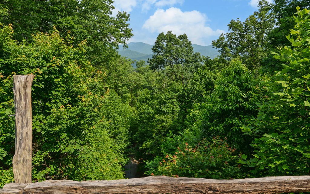 643 Zekes Trail, MARBLE, North Carolina image 25