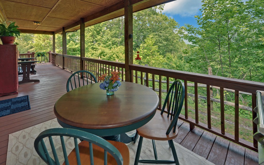 643 Zekes Trail, MARBLE, North Carolina image 6