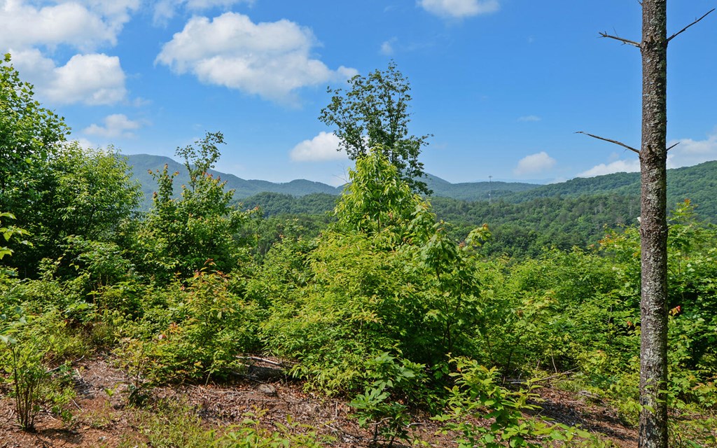 643 Zekes Trail, MARBLE, North Carolina image 28