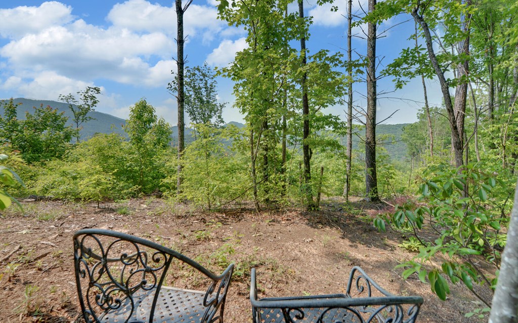 643 Zekes Trail, MARBLE, North Carolina image 29