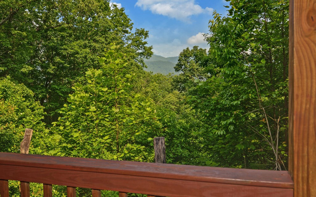 643 Zekes Trail, MARBLE, North Carolina image 7