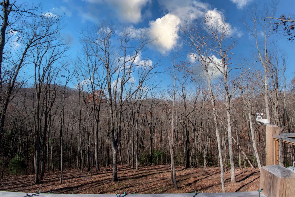 469 Caldwell Overlook, BRASSTOWN, North Carolina image 13