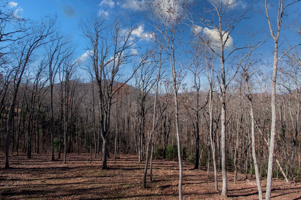 469 Caldwell Overlook, BRASSTOWN, North Carolina image 14