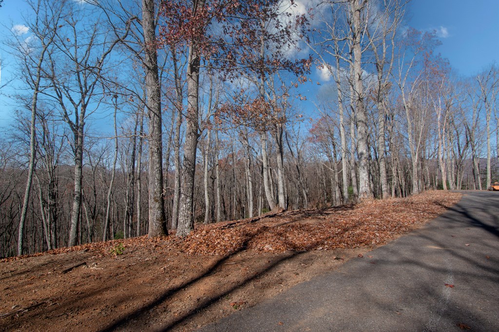 469 Caldwell Overlook, BRASSTOWN, North Carolina image 7