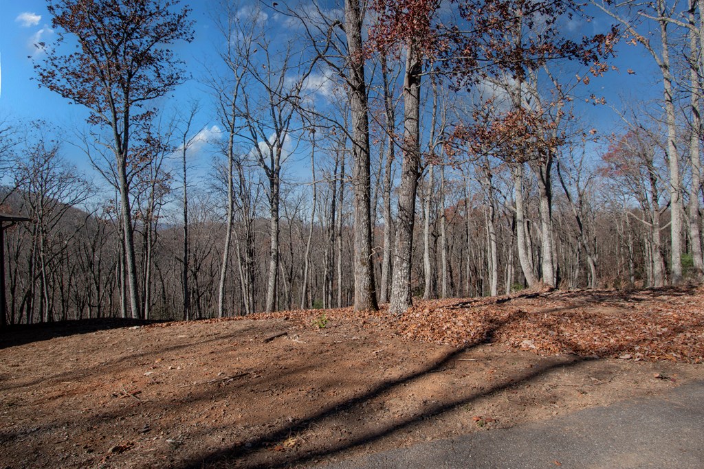 469 Caldwell Overlook, BRASSTOWN, North Carolina image 8