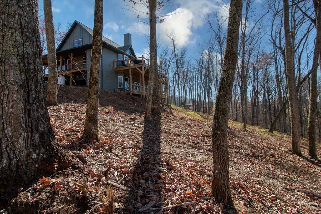 469 Caldwell Overlook, BRASSTOWN, North Carolina image 6