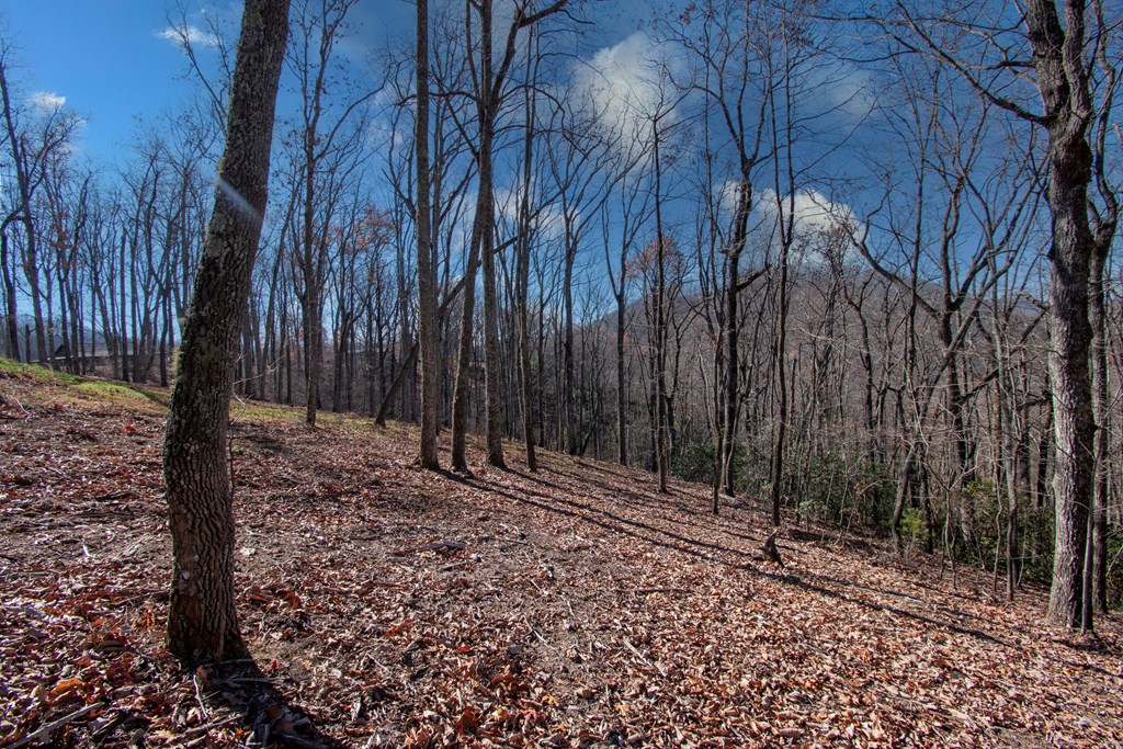 469 Caldwell Overlook, BRASSTOWN, North Carolina image 5