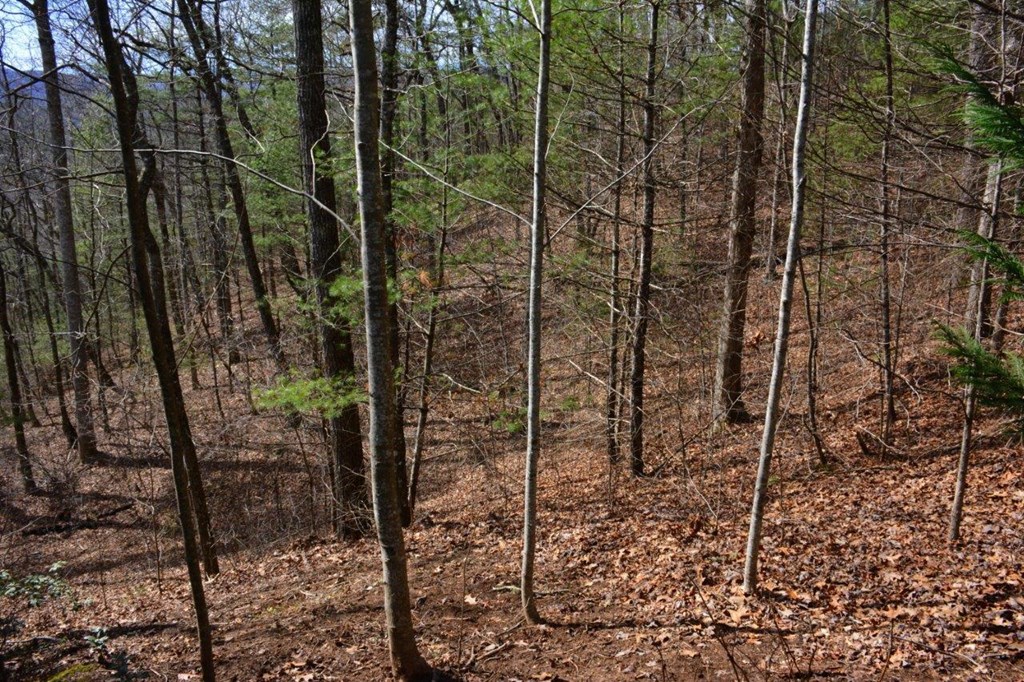 00 Chestnut Ridge #15, ROBBINSVILLE, North Carolina image 5