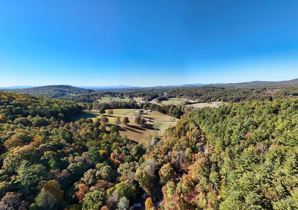 16AC Richards Branch Road #TRACT, MORGANTON, Georgia image 25