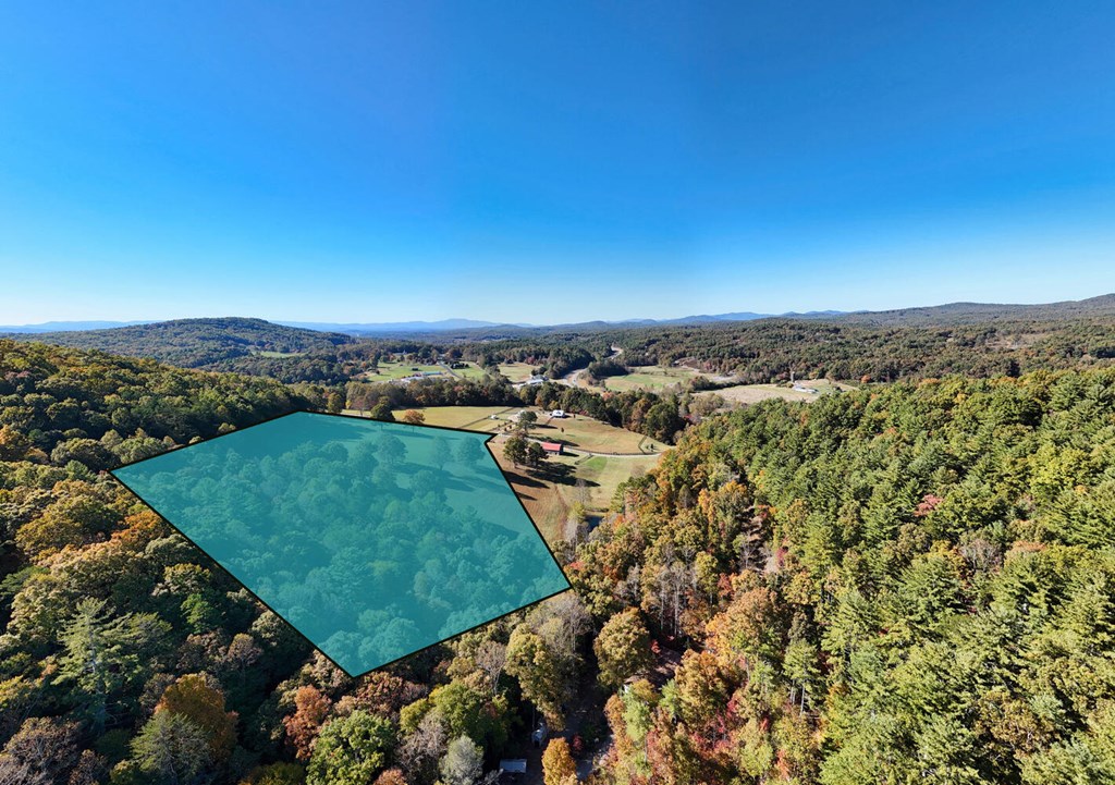 16AC Richards Branch Road #TRACT, MORGANTON, Georgia image 26