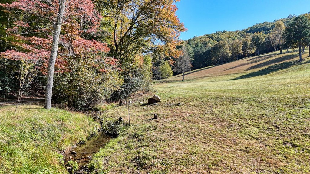 16AC Richards Branch Road #TRACT, MORGANTON, Georgia image 5