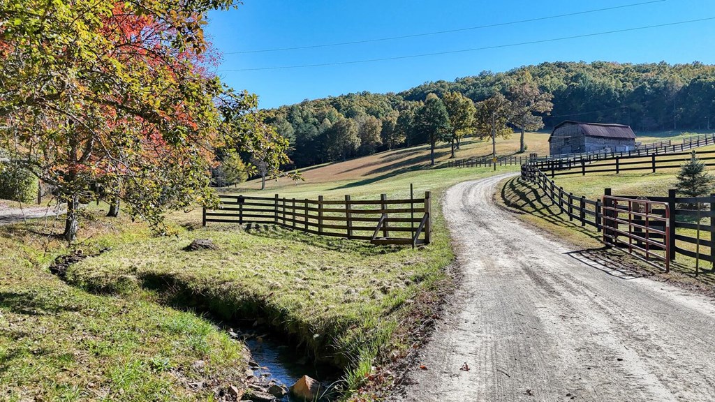 16AC Richards Branch Road #TRACT, MORGANTON, Georgia image 3