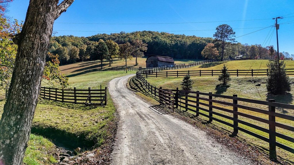 16AC Richards Branch Road #TRACT, MORGANTON, Georgia image 2