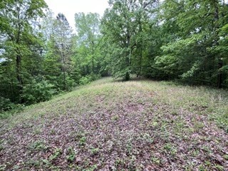 Lot11-12 Majestic Mountain Trail #11-12, MURPHY, North Carolina image 10