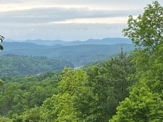 Lot11-12 Majestic Mountain Trail #11-12, MURPHY, North Carolina image 4