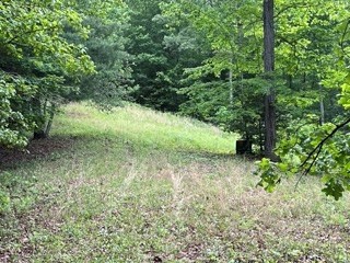 Lot11-12 Majestic Mountain Trail #11-12, MURPHY, North Carolina image 12