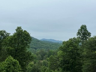 Lot11-12 Majestic Mountain Trail #11-12, MURPHY, North Carolina image 18