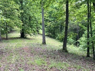 Lot11-12 Majestic Mountain Trail #11-12, MURPHY, North Carolina image 11