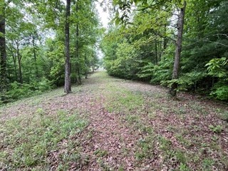 Lot11-12 Majestic Mountain Trail #11-12, MURPHY, North Carolina image 9