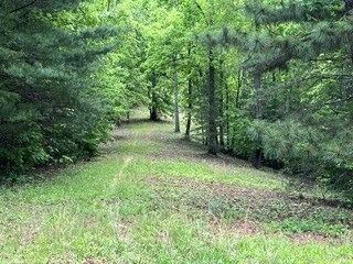 Lot11-12 Majestic Mountain Trail #11-12, MURPHY, North Carolina image 8