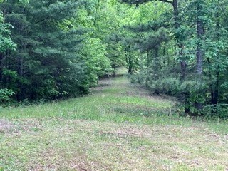 Lot11-12 Majestic Mountain Trail #11-12, MURPHY, North Carolina image 7