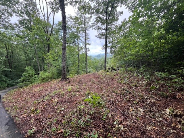 Lot 37 Skyview Dr #37, HAYESVILLE, North Carolina image 12