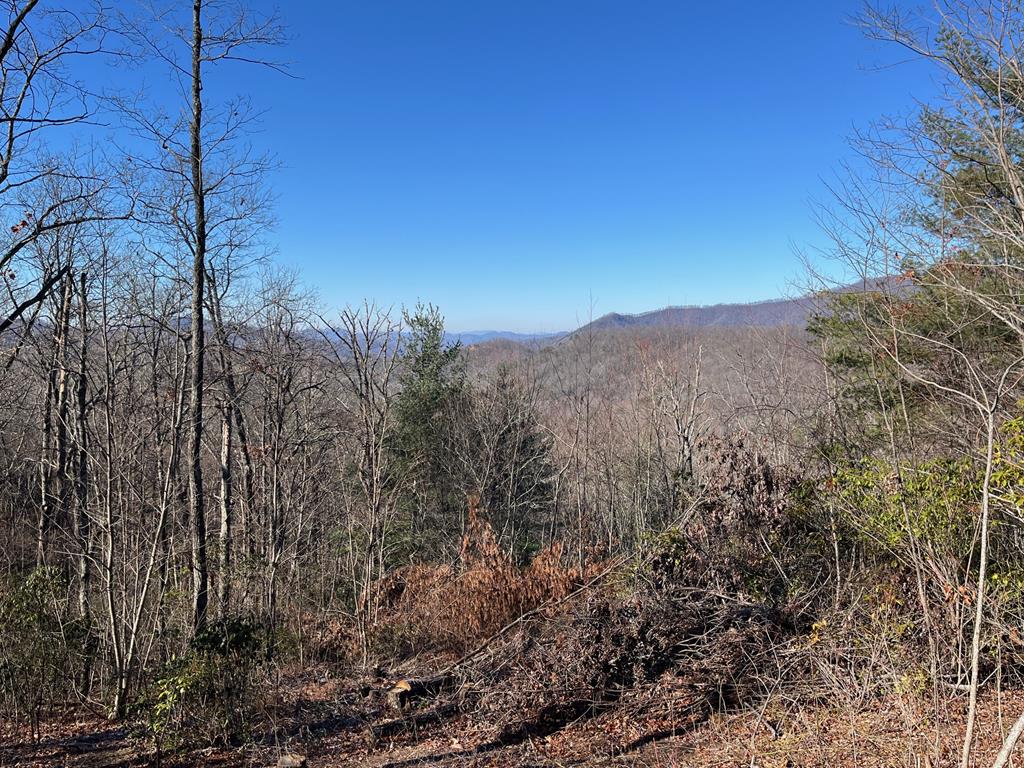 Lot 37 Skyview Dr #37, HAYESVILLE, North Carolina image 3