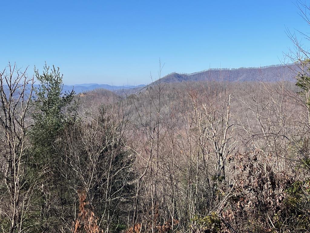 Lot 37 Skyview Dr #37, HAYESVILLE, North Carolina image 5