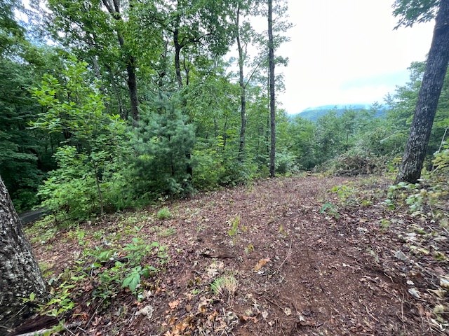 Lot 37 Skyview Dr #37, HAYESVILLE, North Carolina image 11