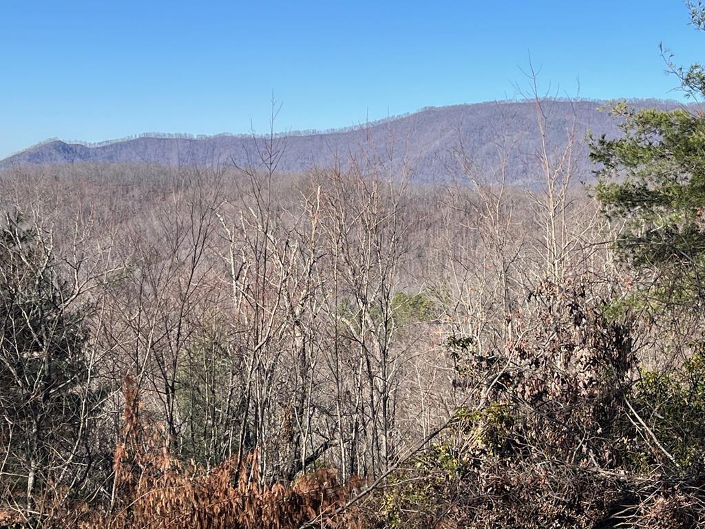 Lot 37 Skyview Dr #37, HAYESVILLE, North Carolina image 1