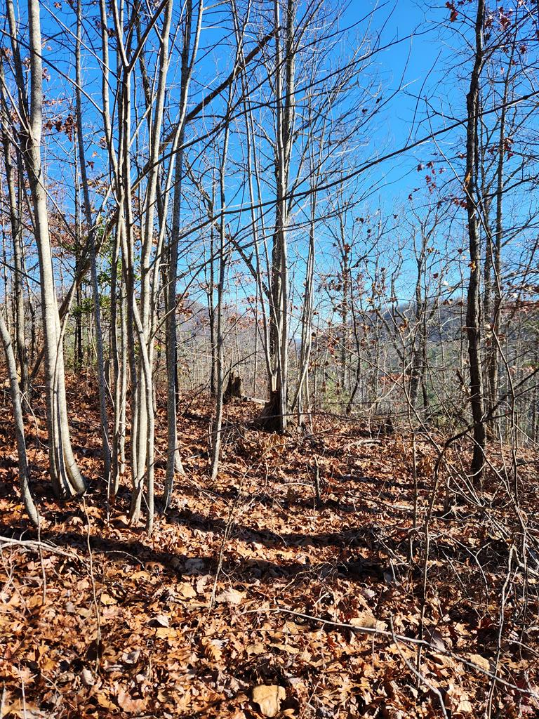 Burning Ember Trail #7A, MURPHY, North Carolina image 1