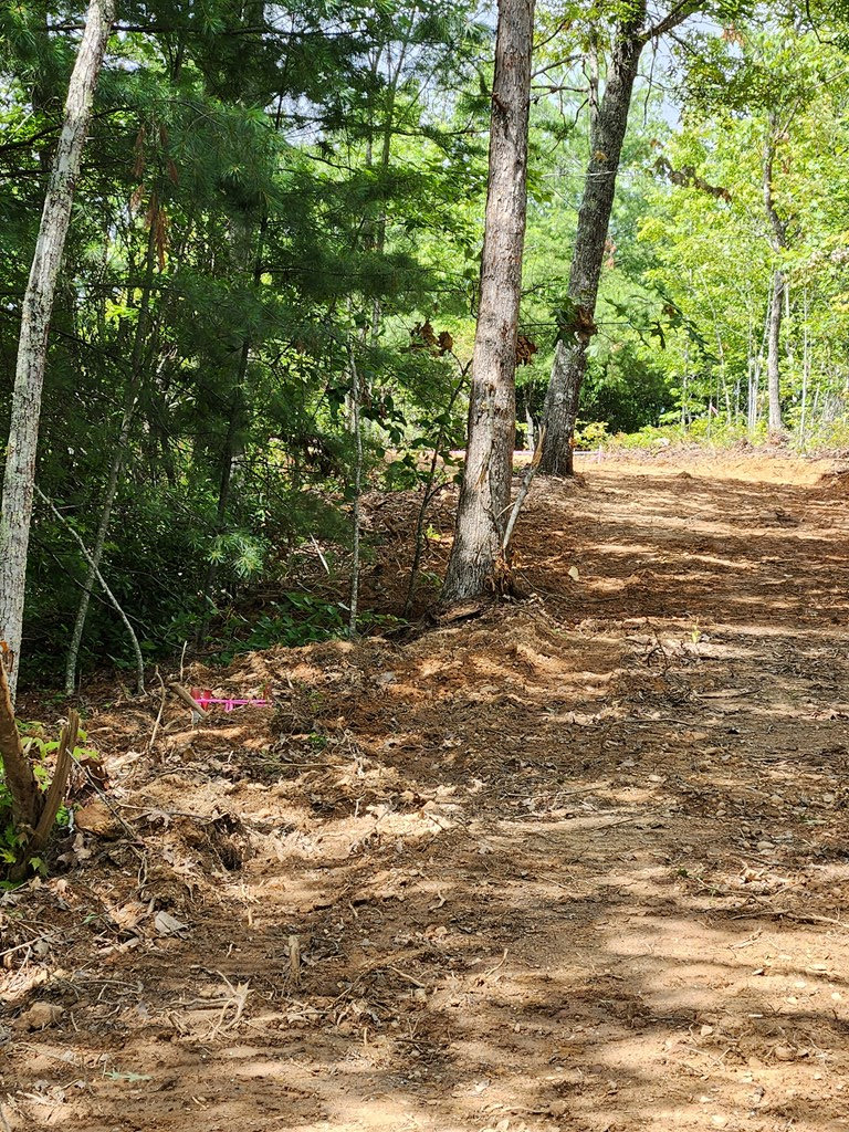 Burning Ember Trail #7A, MURPHY, North Carolina image 7